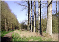 Bridleway north-east of Bridgnorth, Shropshire