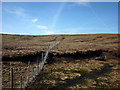 NY8120 : Fence on moorland above Coalgill Sike by Karl and Ali