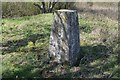 Triangulation Pillar TP6204 above Stoke tunnel