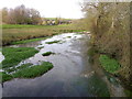 SU0425 : River Ebble, Broad Chalke - (5) by Maigheach-gheal