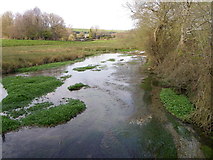SU0425 : River Ebble, Broad Chalke - (5) by Maigheach-gheal