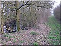 Footpath to Wornish Nook