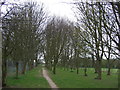 Path through the trees