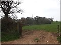 Footpath to Whimple from near Hitt