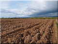 Newly Ploughed Field