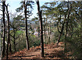 View towards Burwardsley from Willow Hill