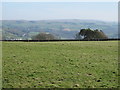 Pastures northwest of High Sunnyside