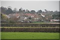 Bembridge : Grassy Field