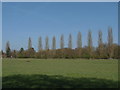 Poplars, West Clandon