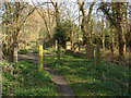 Footbridge, Green Lane