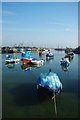 Brixham Harbour Boats