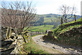 NY4003 : Nanny Lane, above Troutbeck by Peter Church