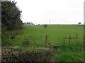 Findermore Townland