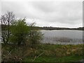 H5847 : Lough na Blaney bane by Kenneth  Allen