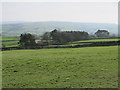 Pastures and woodland around Huds Riding