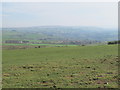 Panorama from Catton Beacon (8: SSE - Catton village)