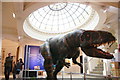 Dinosaur in the Perth Museum and Art Gallery