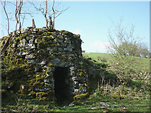SD7285 : Disused lime kiln just above Deepdale Beck by Karl and Ali