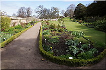 NT5183 : Garden at Dirleton Castle by Mike Pennington