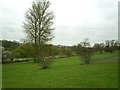 Gadebridge Park, looking towards Hemel Old Town