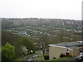 View of the huge Heeley & District Allotments