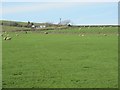 Pastures northwest of Highfield Farm