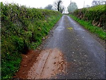 H4180 : Badger sett, Gortnacreagh Road by Kenneth  Allen