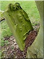 A symbolic gravestone in the Old Galashiels Parish Church burial ground