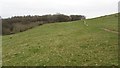 Path, Broomfield Hill