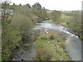 The River Teviot from Branxholm Bridge