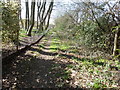 Footpath alongside Prospect Farm