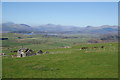 Ruined barn below Rhyd Galed Uchaf