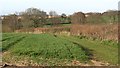 Arable land, Holford