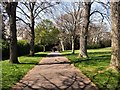 Path in Hove Recreation ground