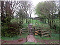 The path at Bleatarn Farm