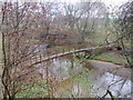 The footbridge over Cam Beck