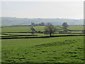 Pastures northeast of Old Town