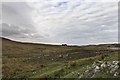 NR4061 : Sheep Dip, Storakaig, Islay by Becky Williamson