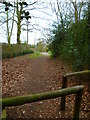 Footpath to Peaslake from the east