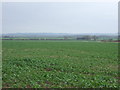 Farmland off Occupation Lane