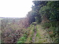 Path along the edge of Howden Wood