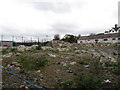 Waste ground next to the BT phone exchange in Downshire Road