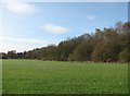 Great Central Railway embankment