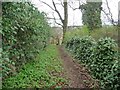 Footpath to Collingham