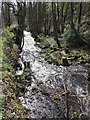 River Loxley by Wisewood Forge