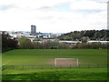 Norfolk Park: football pitches (2)