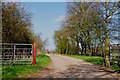 The Driveway to Whitacre Hall