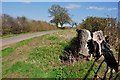 A view along Dog Lane towards Whitacre Hall