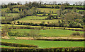 J2654 : Countryside, Drumlough near Hillsborough by Albert Bridge