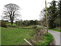 View northwards along unnamed lane